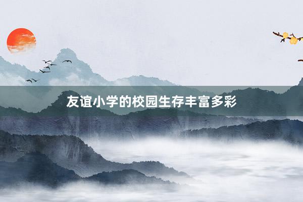 友谊小学的校园生存丰富多彩